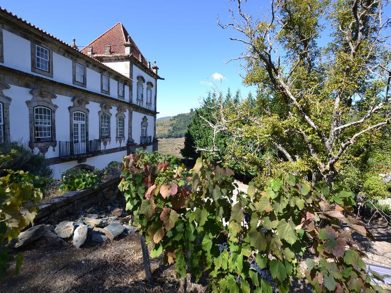 Casa Das Torres De Oliveira Mesão Frio Exterior photo