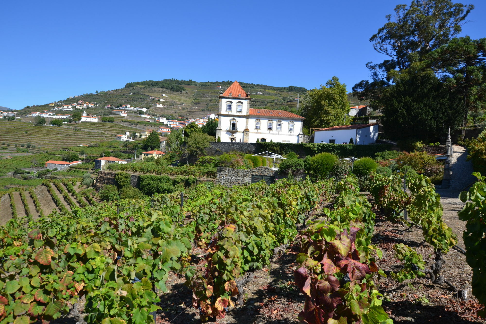 Casa Das Torres De Oliveira Mesão Frio Exterior photo