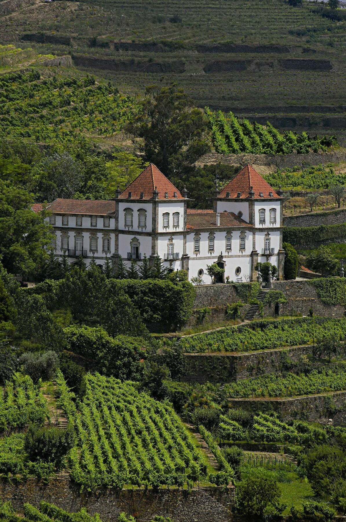 Casa Das Torres De Oliveira Mesão Frio Exterior photo